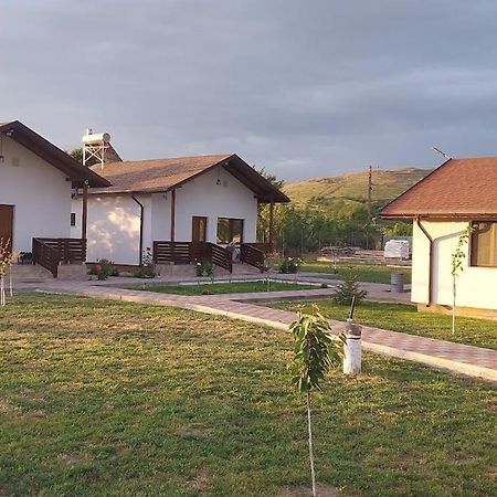Zander House Pecineaga المظهر الخارجي الصورة