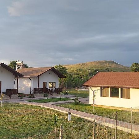 Zander House Pecineaga المظهر الخارجي الصورة